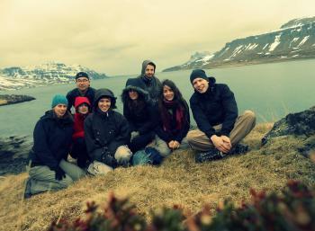 Driftwood in the West Fjords