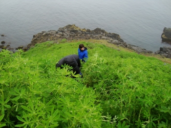 Icelandic Natural Heritage in the far East