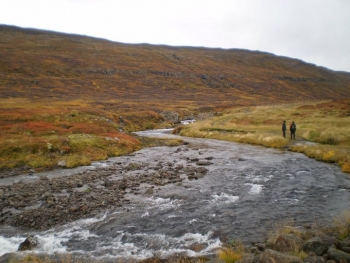Ísafjarðardjúp: Nature & Fun in the West Fjords (3:3)