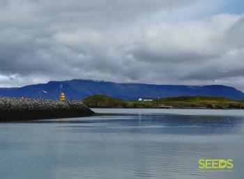 Island of Viðey (1:2)