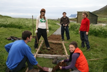 SEEDS Iceland