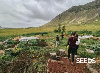 SEEDS Iceland