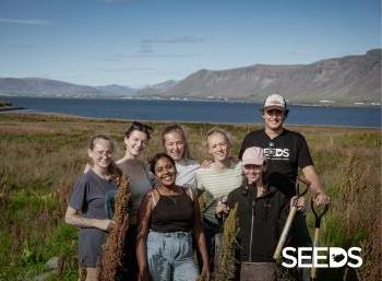 SEEDS 014. Island of Viðey (1/2)