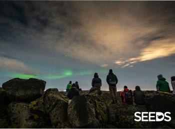 SEEDS Iceland